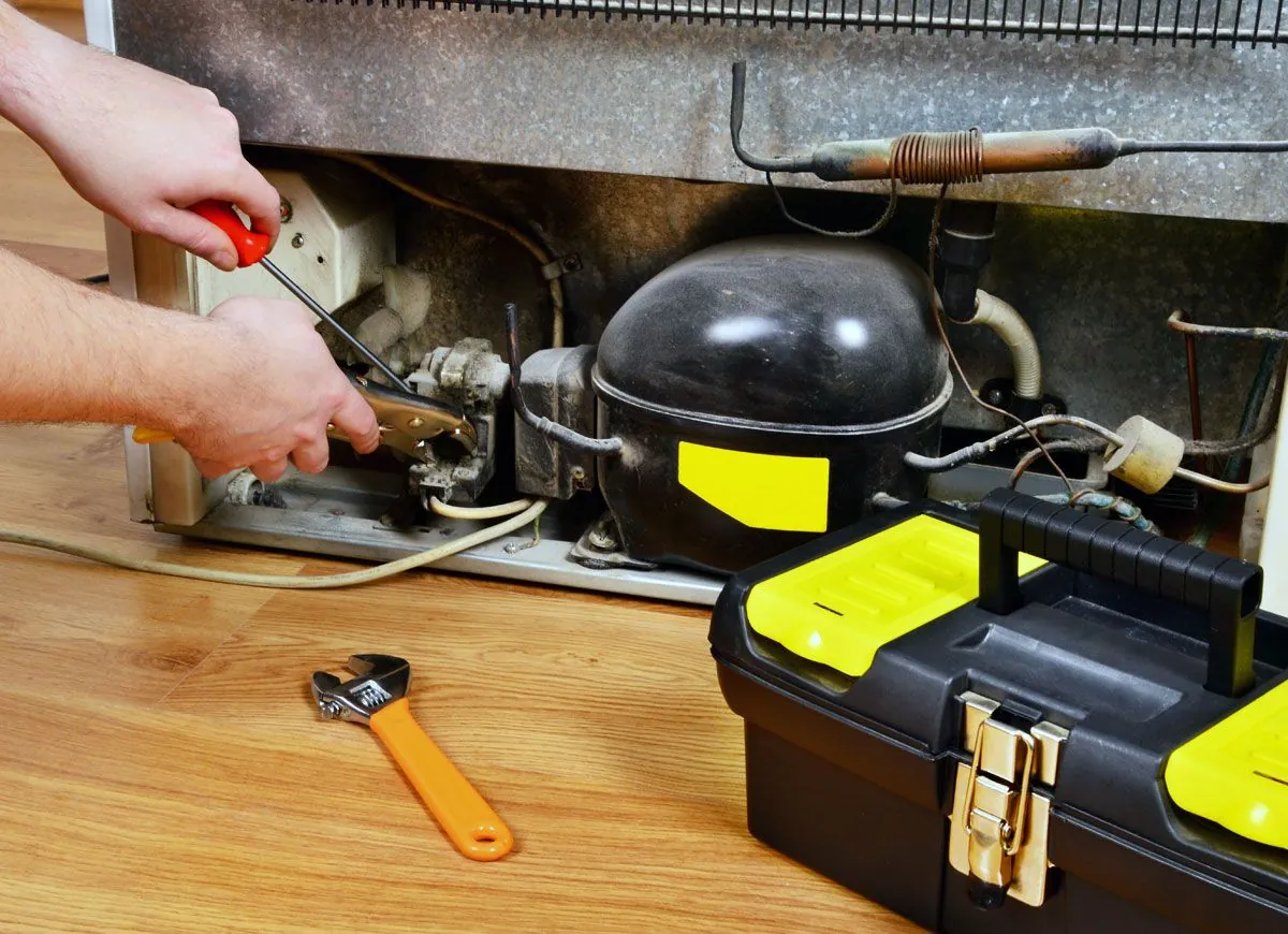 Derin Dondurucu Teknik Servis